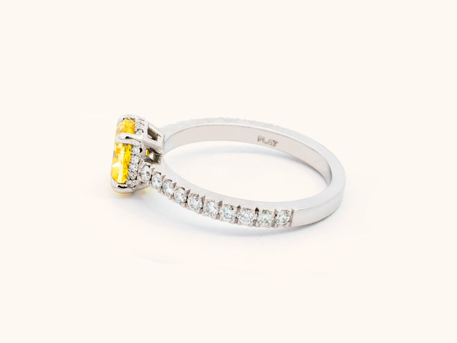 Fancy Vivid Yellow Cushion Diamond Halo Ring in Platinum